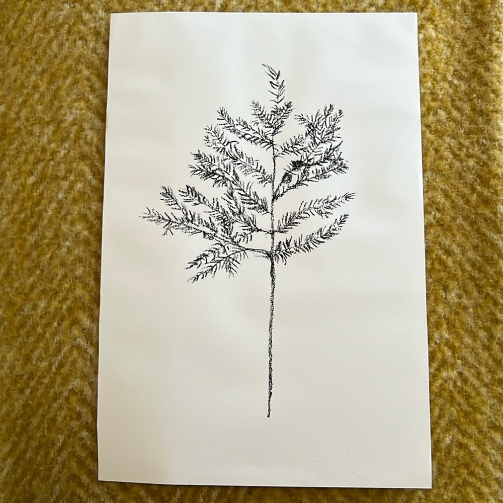 11x16 hemlock print. White/black